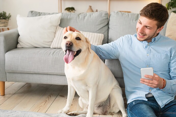 Man petting a dog in the sitting room of a house