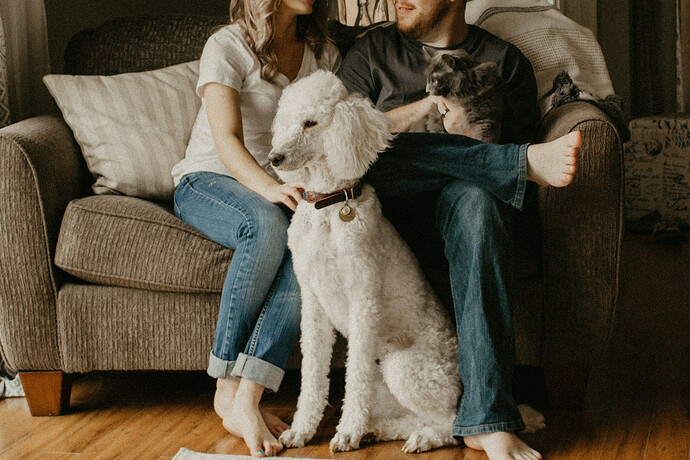 A couple sat on a soft with a white dog sitting at their feet, and a grey cat sat on the gentleman's lap